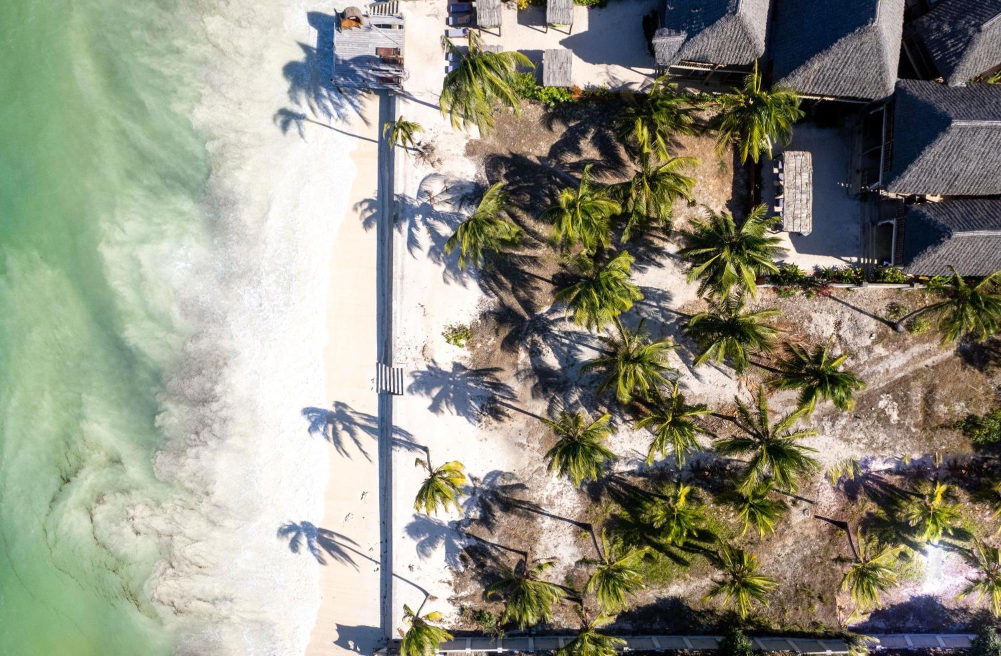 Shanuo Beach Bungalows Michamvi 외부 사진
